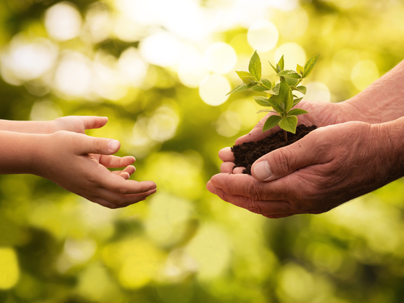 Hands holding plants